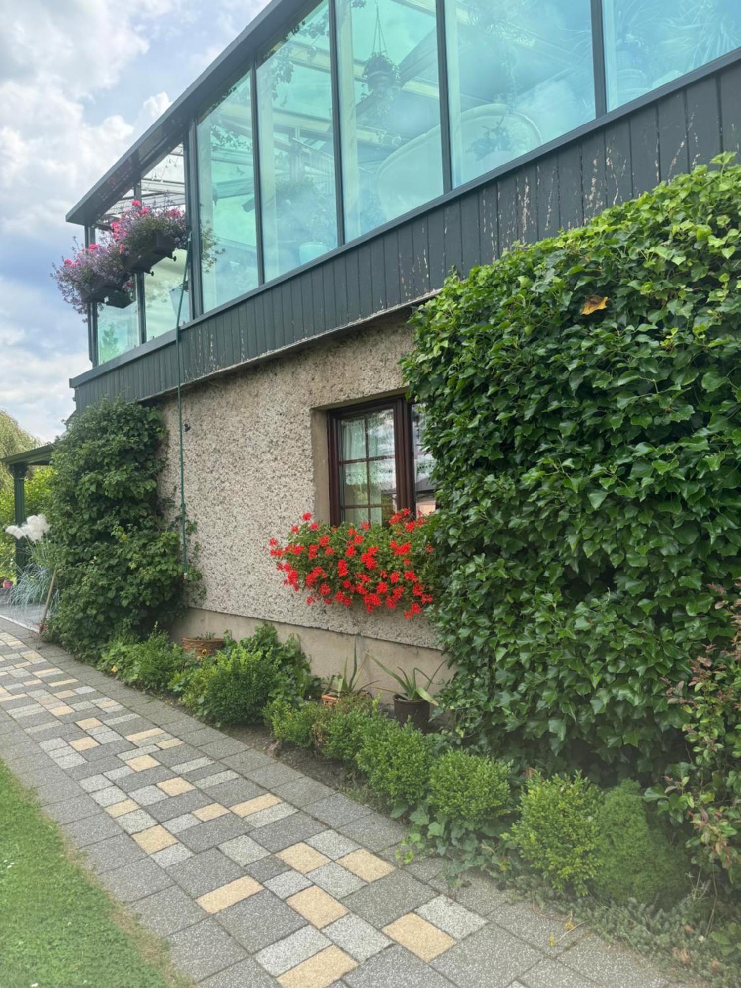 Ferienwohnung Hinterhermsdorf Glaser 赛博尼茨 外观 照片